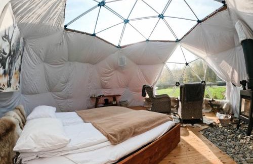 Porsanger Other | Wild Caribou Dome
