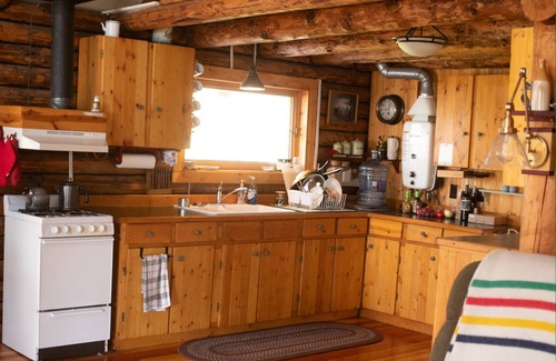Big Arm Cabin | WILD HORSE ISLAND!