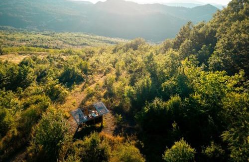 San Costantino Albanese Other | Wild Orchard Farm