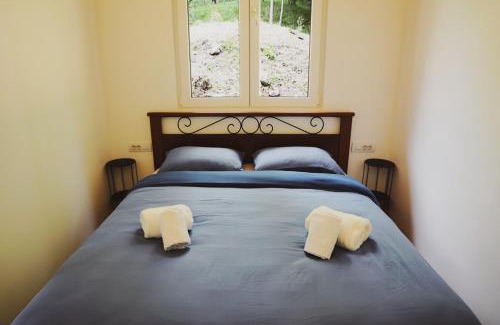 Mollia House | Wild Side