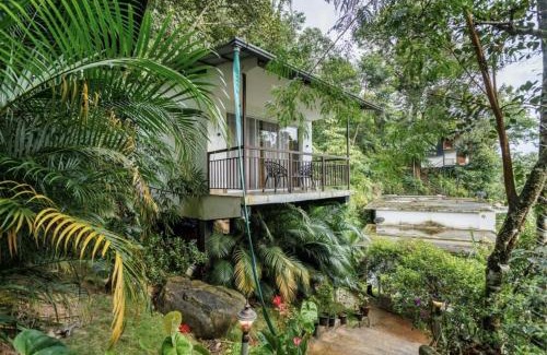 Kunchithanny Resort | Wild Stories by Bestinn Leisure - Munnar