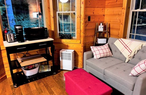 Meadows Of Dan Cabin | Wildcat Forest - a tiny cabin with lots of charm, by Buffalo Mountain Getaway