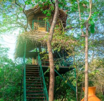 Nissankamallapura Cabin | Wildescape Polonnaruwa