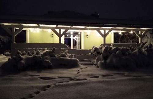 Skoczow House | Willa Haneczka