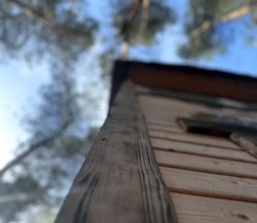 gmina Kamionka Cabin | Willa na Drzewie