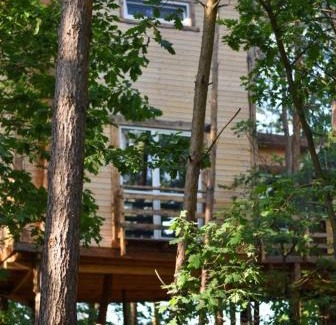gmina Kamionka Cabin | Willa na Drzewie