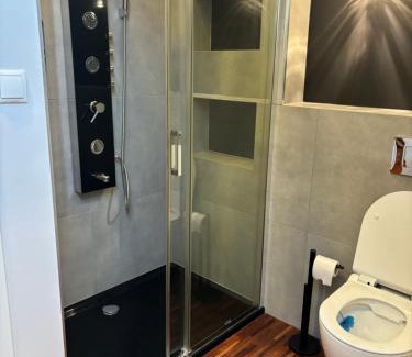 Zielona Gora Apartment | Willa w Zaciszu