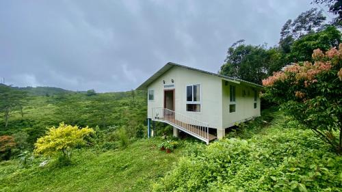 Peermade House | Willostays Amburan hills cabin