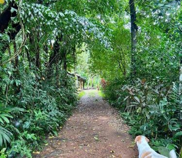 Mirigama Bed & Breakfast | Wilwatte Retreat