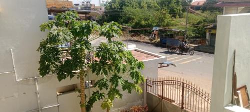 Tirunelveli House | Win's House
