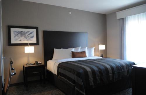 Loveland Hotel | Wingate by Wyndham Loveland Johnstown