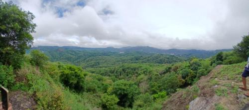 Thekkady House | Winter Cristel