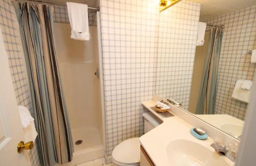 Ludlow Resort | Winterplace on Okemo Mountain