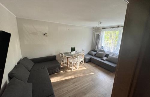Witomino Apartment | Witawa 2024