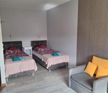 Psie Pole Apartment | Witkowska-nocleg