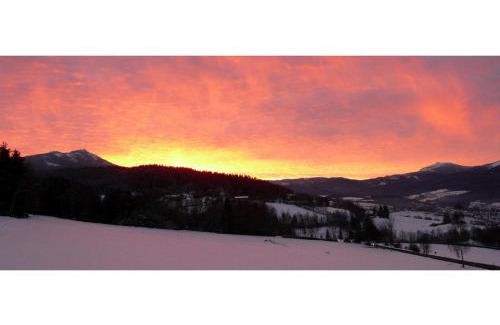 Lam Ski Chalet | Woidhaisl