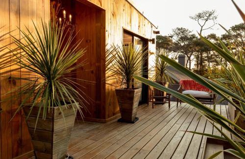 Jose Ignacio Apartment | Wood House