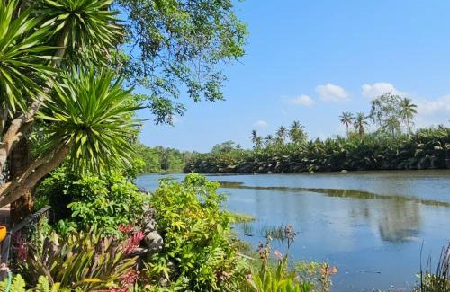 Makham Tia House | Wooden house & birdsong