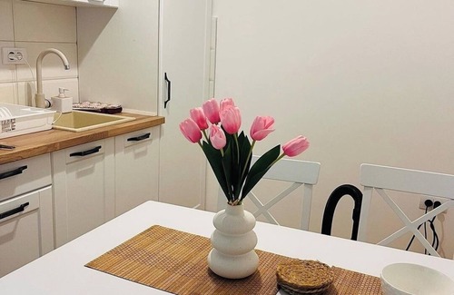 Vrnjacka Banja Apartment | Woody apartment near center Vrnjačka Banja with free parking