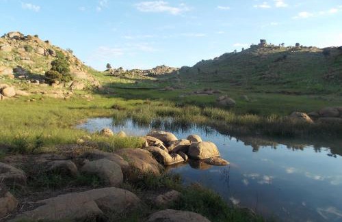 Tonteldoos House | Woolly Bugger Farm