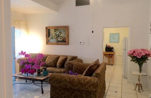 Reddick Apartment | WORLD EQUESTRIAN CENTER just 10mi south, 1/1 PRIVATE APT HORSES & PETS WELCOME!