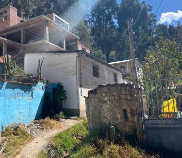Tarma Other | Xaxa Lodge