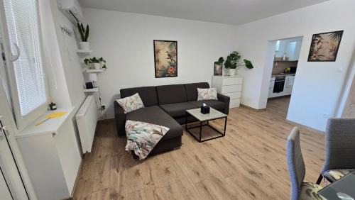 Mierovo Apartment | Xela Apartment