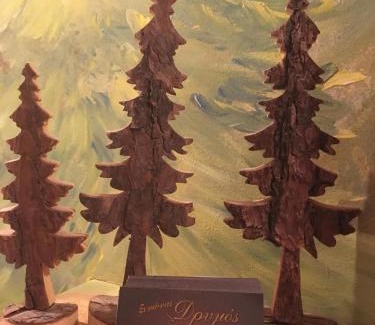 Karpenisi Apartment | Xenonas Drimos