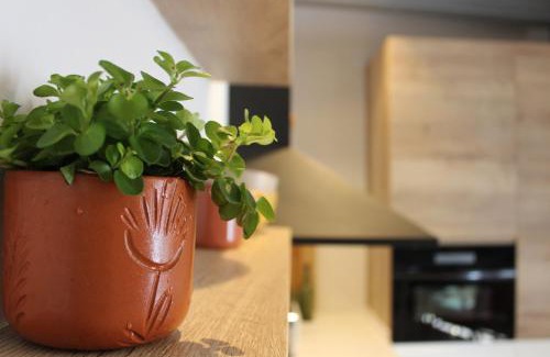 Santa Cruz de Campezo/Santikurutze Kanpezu House | XIMENETXE Vivienda Turística