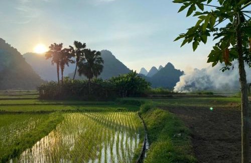 Lam Thuong House | Xoi Farmstay - A Home Farm in Lam Thuong valley - North Vietnam