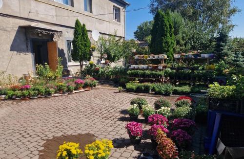 Kirovograd Apartment | Yanovskogo 1k Shin