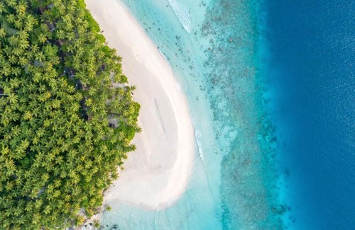 Rinbudhoo Resort | Yash Nature Resort, Maldives