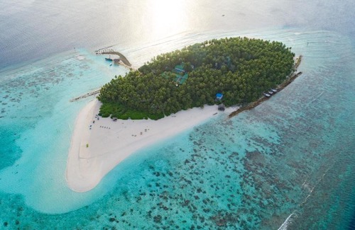 Rinbudhoo Resort | Yash Nature Resort, Maldives