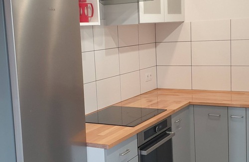 Ostrow Wielki Apartment | Year-round exclusive vacation apartment in the middle of the Masurian nature at Jeziorak
