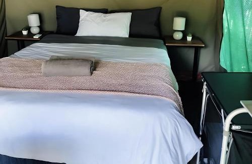 Skukuza Other | Yebo Safari Tents-Stay Inside Kruger