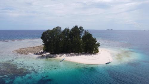 Raja Ampat Other | Yef Nabi Homestay