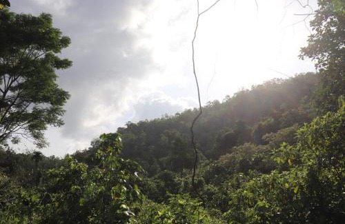 Dodangoda Villa | Yellow Tree Thudugala