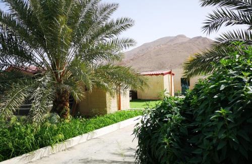 Ash Sharqiyah North Governorate House | Yonis Farm