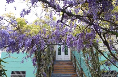 Rueili Village House | Youlin Homestay
