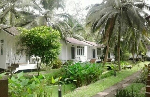 Khlong Khoen Resort | Young Coconut Garden Home Resort