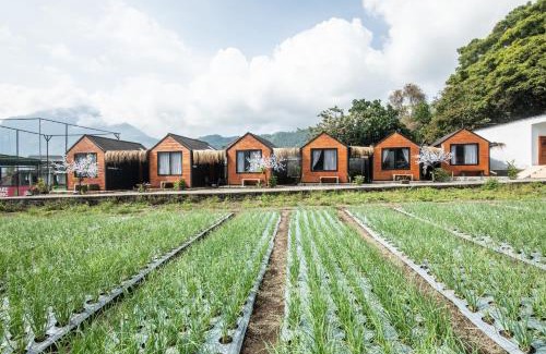 Kedisan Hotel | Yucabin Kintamani
