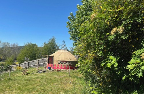 Contin Cabin | Yurt Retreat - overlooking the River Blackwater