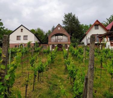 Kostelec House | Za humny je sklep