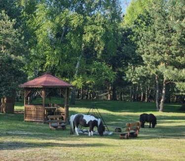 gmina Olsztyn Villa | Zacisze Jurajskie