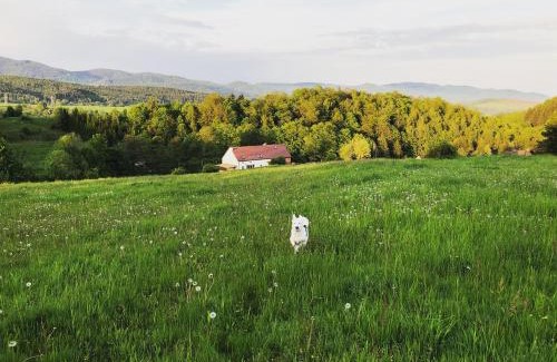 Nowa Ruda House | Zapomnienie