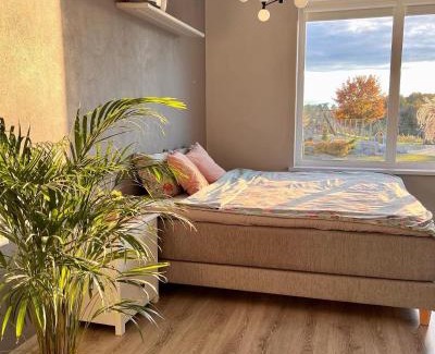 Jelgava House | Zeltāres