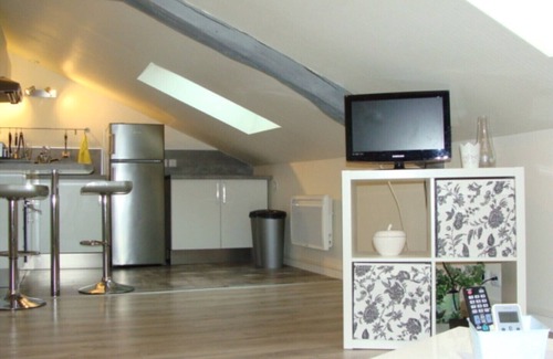 Saint-Cyr-sur-Loire Apartment | Zen apartment under roof, F2