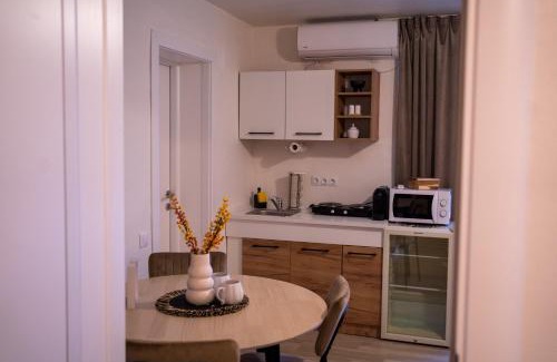 Ocna Mures Apartment | Zena Apartment