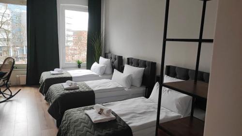 Rendsburg Apartment | Zentrale Ferienwohnung mit Blick auf den See inklusive Parkplatz und Internet Geschäftsreisende willkommen