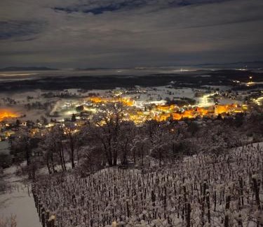 Semic House | Zidanica-Vineyard Cottage Jakše